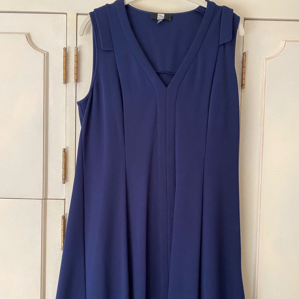 Saks Fifth Avenue private label dress. Never worn. Size10.